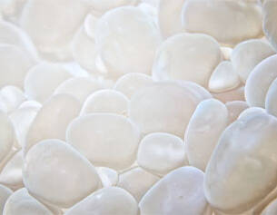 Piedras blancas y brillantes dispersas sobre una superficie clara, creando un efecto suave y luminoso.