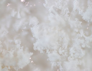 Primer plano de cristales blancos y esponjosos, que recuerdan a copos de nieve, con un fondo suave y difuminado.