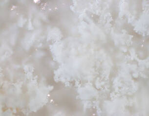 Primer plano de cristales blancos y esponjosos, que recuerdan a copos de nieve, con un fondo suave y difuminado.