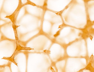 Estructura microscopica de un material con formas hexagonales y tonalidades anaranjadas, mostrando su textura unica.