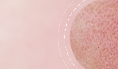 A close-up of a textured circular object set against a soft pink background, with dashed lines creating a circular pattern around it.