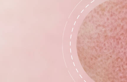 A close-up of a textured circular object set against a soft pink background, with dashed lines creating a circular pattern around it.