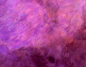 Abstract textured background in shades of purple, showcasing a blend of darker and lighter hues.