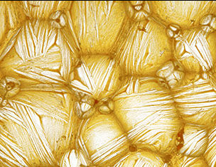 Textura amarilla y brillante, con patrones de burbujas y hilos, que sugiere una superficie viscosa o gelatinosa.