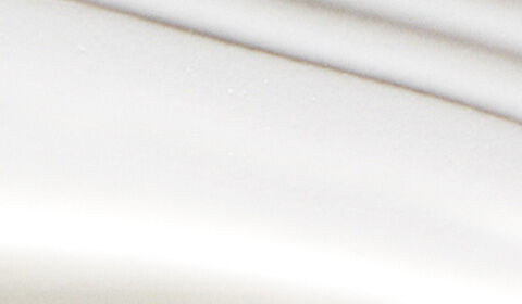 Abstract image featuring smooth, wavy lines in varying shades of white against a light background.