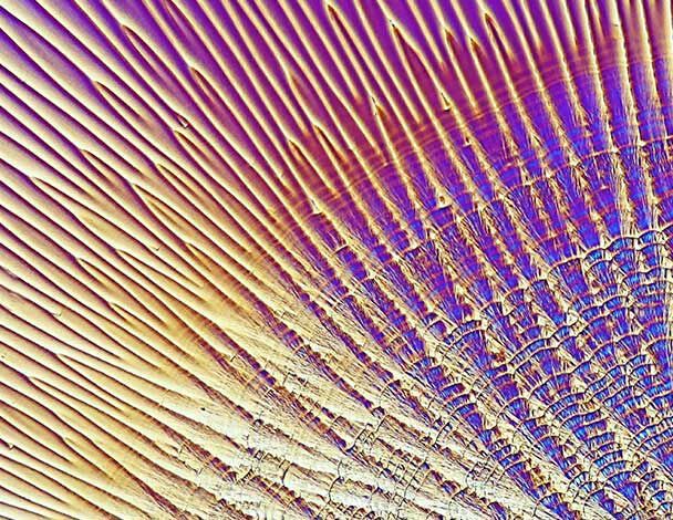 Abstract pattern of wavy lines in vibrant colors, resembling a textured surface with radial symmetry and depth.