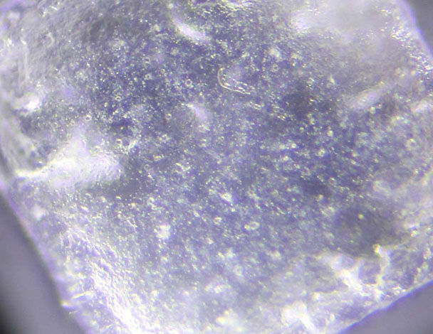 Macro image of a translucent crystal with visible internal textures and small inclusions.