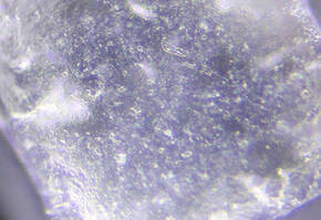 Macro image of a translucent crystal with visible internal textures and small inclusions.