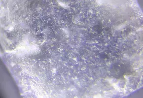 Macro image of a translucent crystal with visible internal textures and small inclusions.