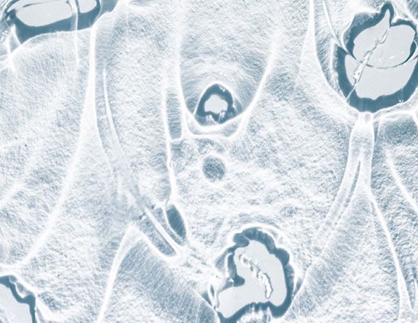 Abstract close-up of frosty ice patterns with smooth, flowing shapes and dark, organic forms embedded within.