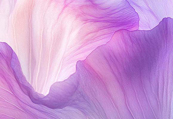 Petalos de flor en tonos suaves de rosa y purpura, con detalles delicados y una textura eterea.