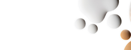 Textura de diferentes tonos de maquillaje y crema sobre un fondo blanco.