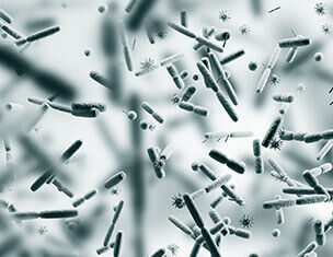 Imagen en microscopio de bacterias y microorganismos flotando en un fondo difuso y gris.