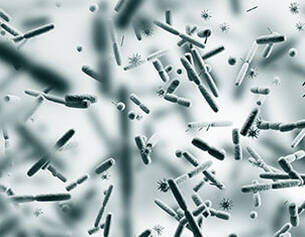 Imagen en microscopio de bacterias y microorganismos flotando en un fondo difuso y gris.