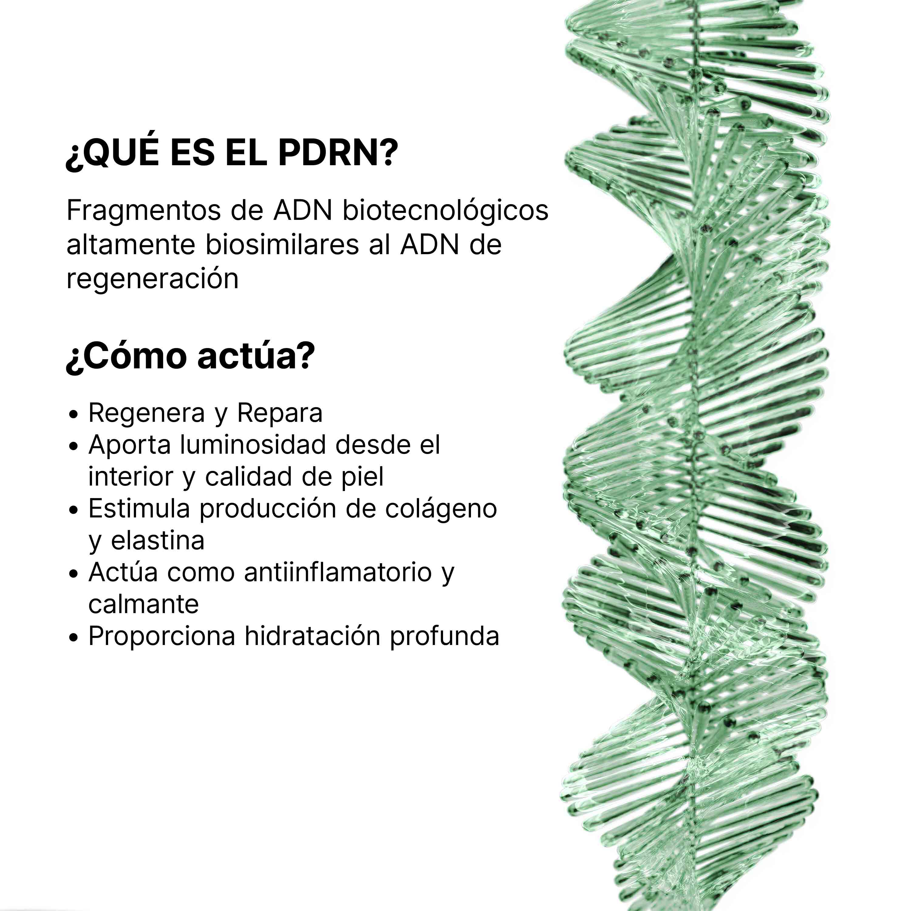 Serum con PDRN Phyto Corrective